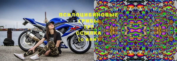дмт Абинск