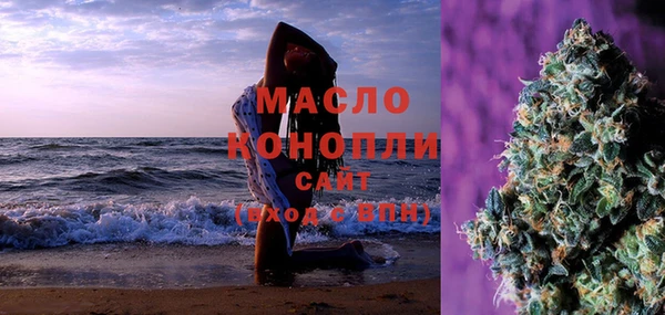 тгк Нея