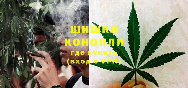ГАЛЛЮЦИНОГЕННЫЕ ГРИБЫ Абаза