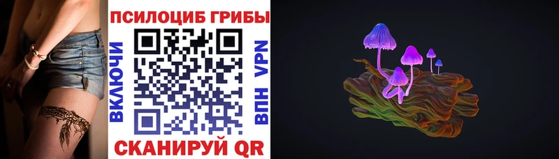 omg как зайти  продажа наркотиков  Азнакаево  Псилоцибиновые грибы Psilocybe 